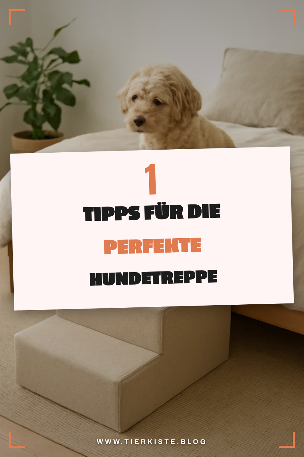 So findest du die beste Hundetreppe fürs Bett