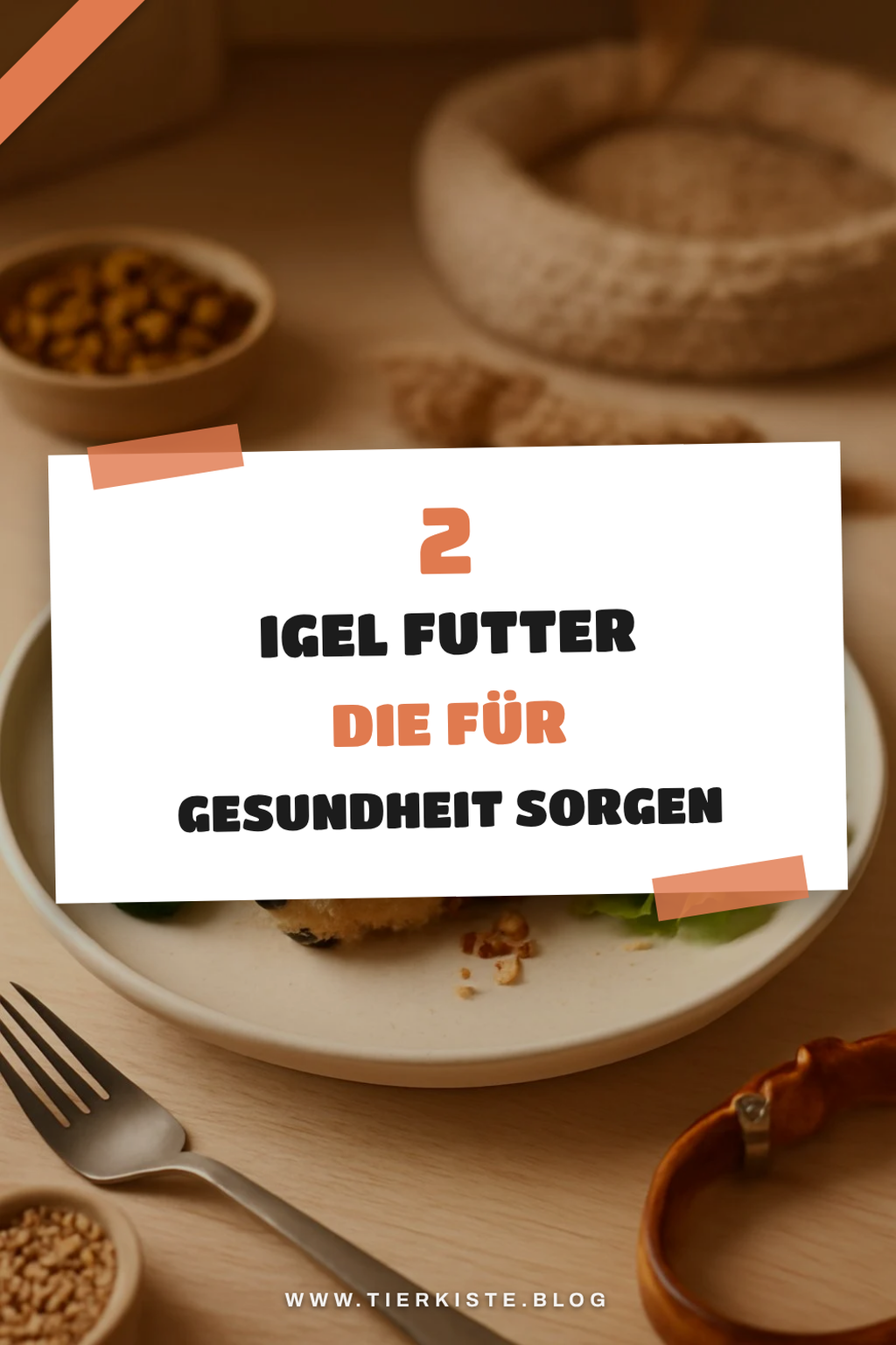 Diese 2 Picks lohnen sich extra