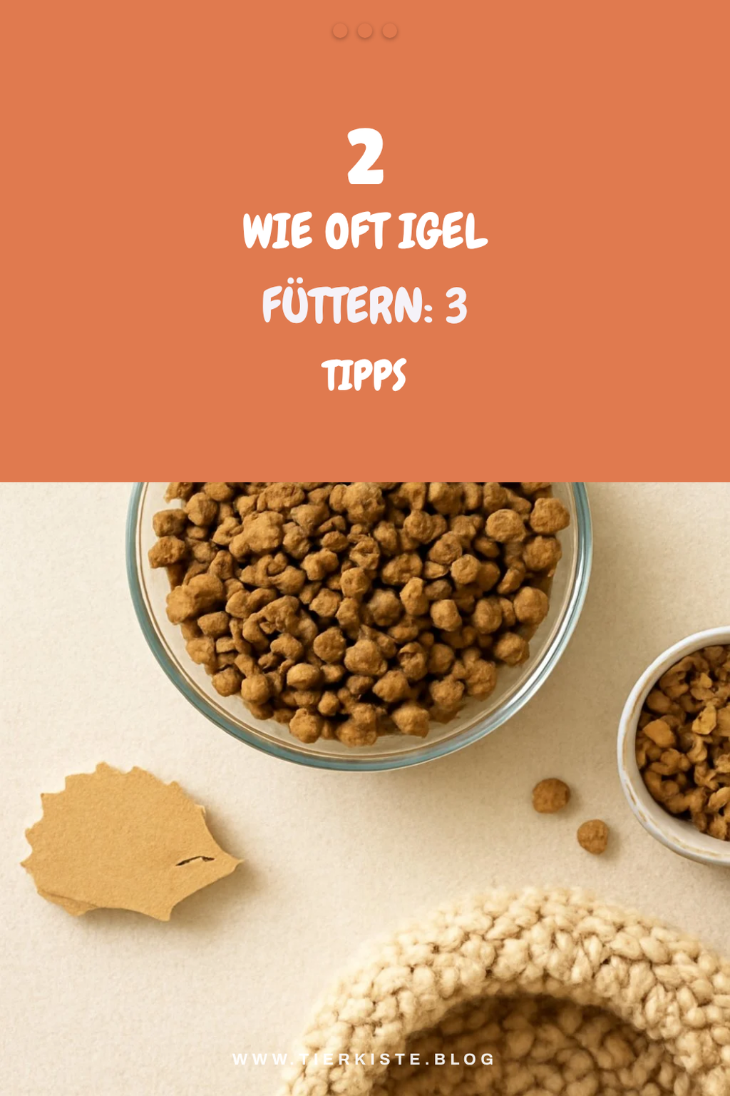 Wie oft sollte ich meinen Igel füttern?