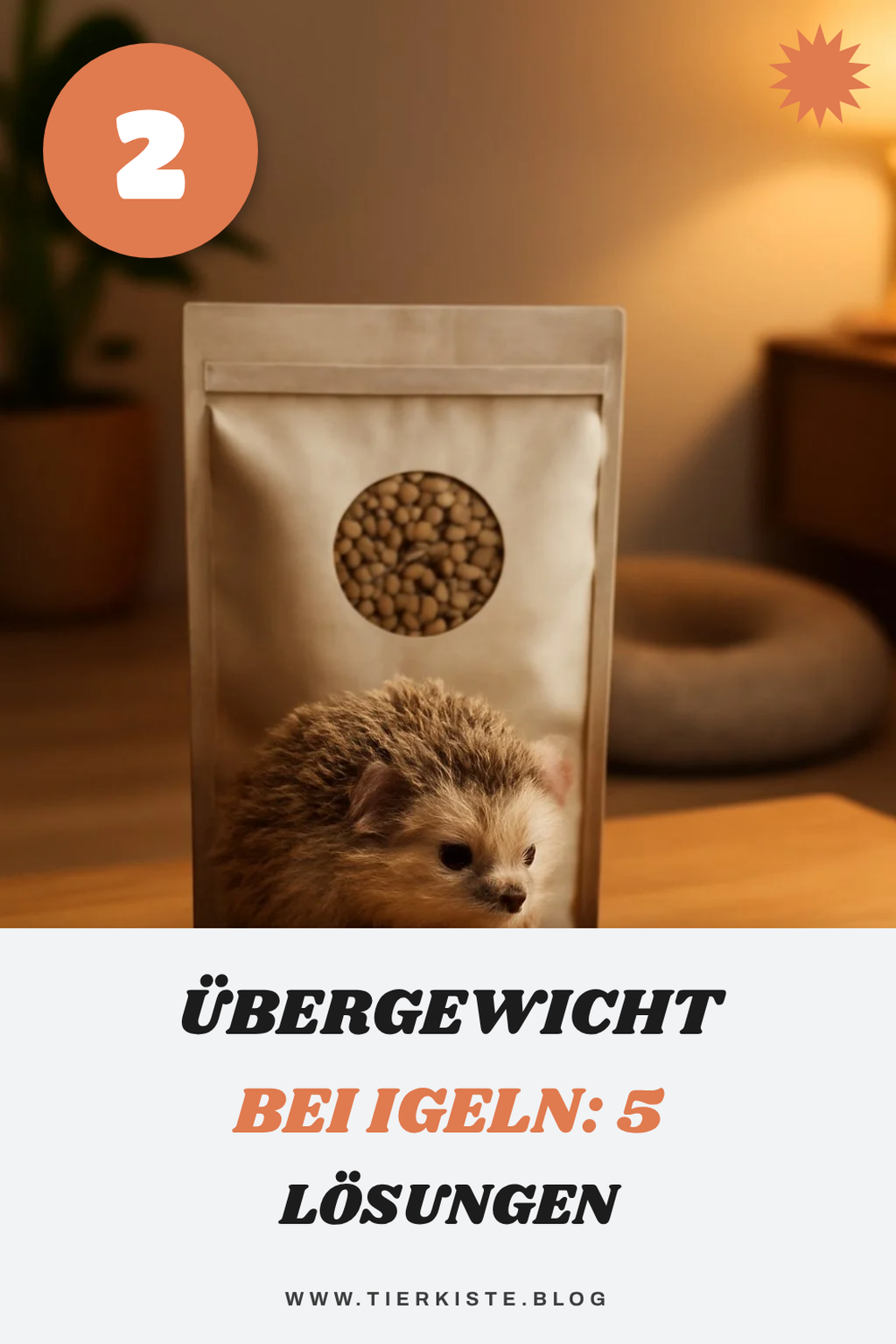 Was tun bei Übergewicht bei Igeln?