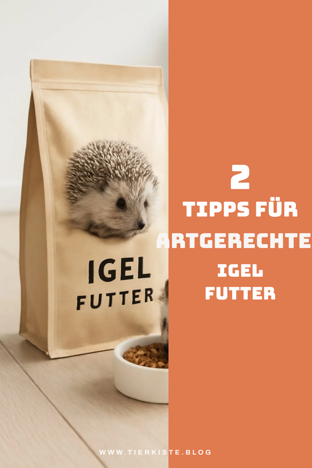 So fütterst du deinen Igel artgerecht und gesund