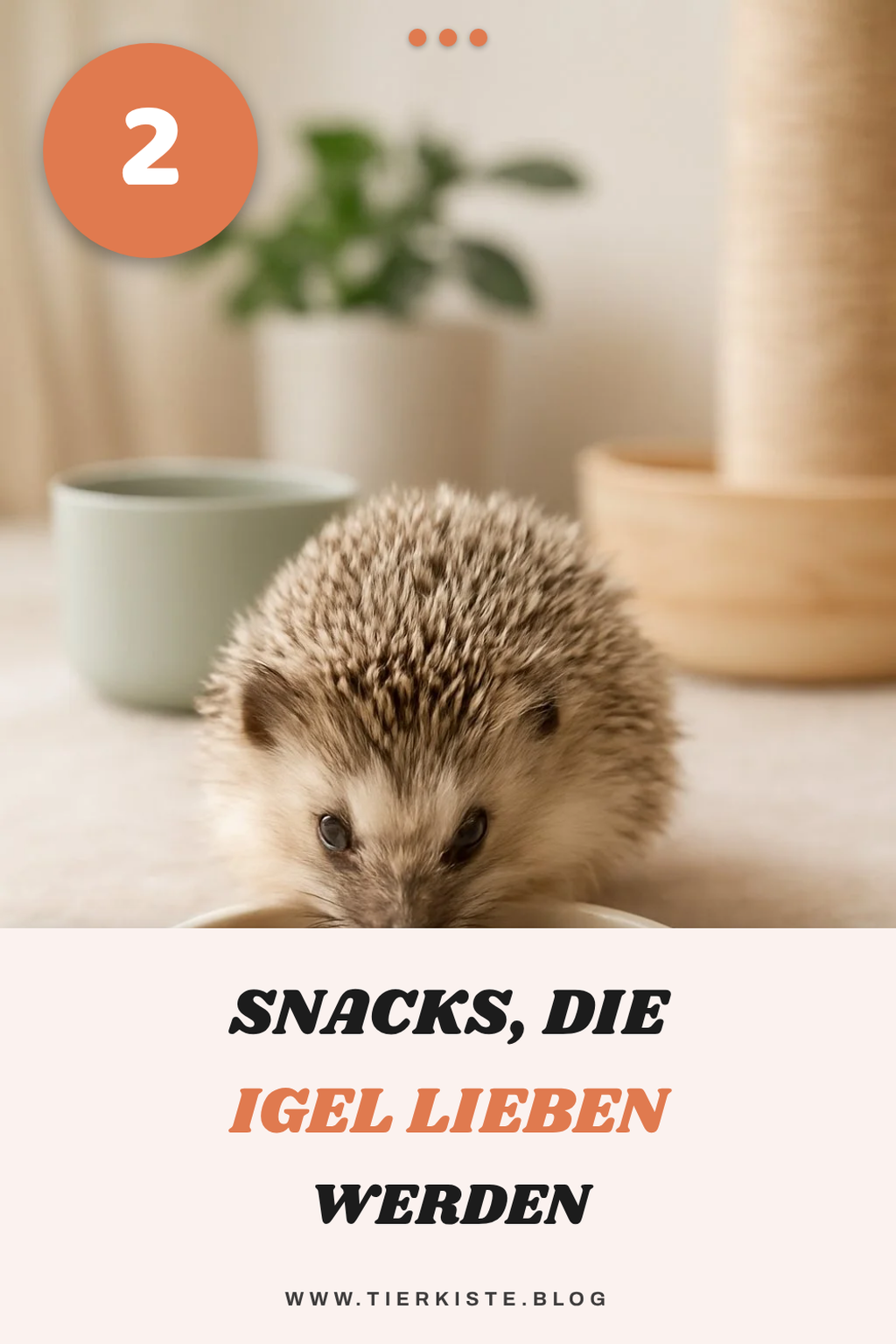 Diese Snacks sind ideal für Igel