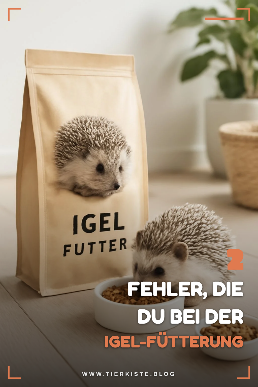 Fehler bei der Igel-Fütterung vermeiden