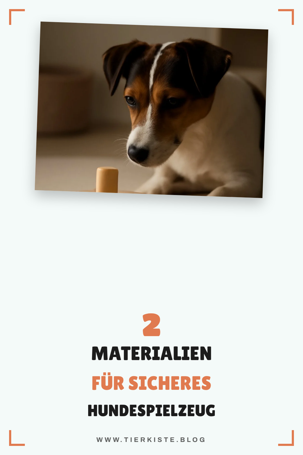 Die besten Materialien für Hundespielzeuge