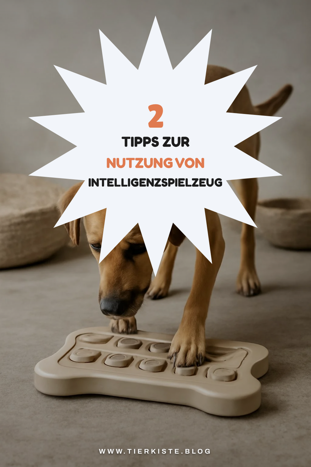 Wie du Intelligenzspielzeug effektiv einsetzt
