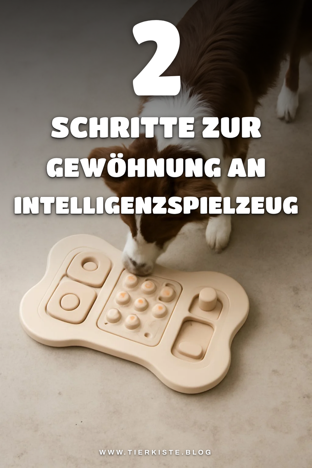 Wie du deinen Hund an Intelligenzspielzeug gewöhnst