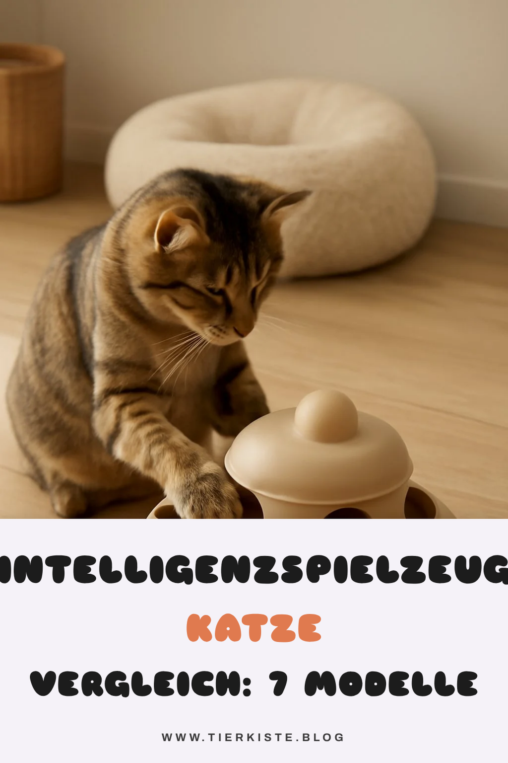 Intelligenzspielzeug Katze Vergleich: 7 Modelle im Check