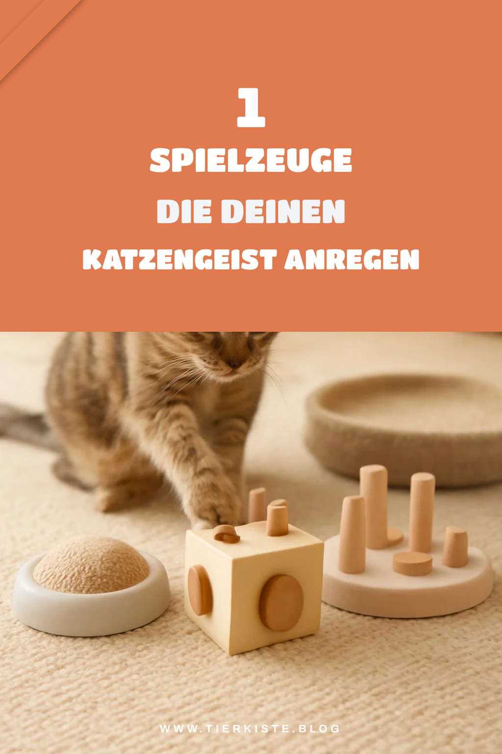 Diese 3 Intelligenzspielzeuge fördern die Fähigkeiten deiner Katze
