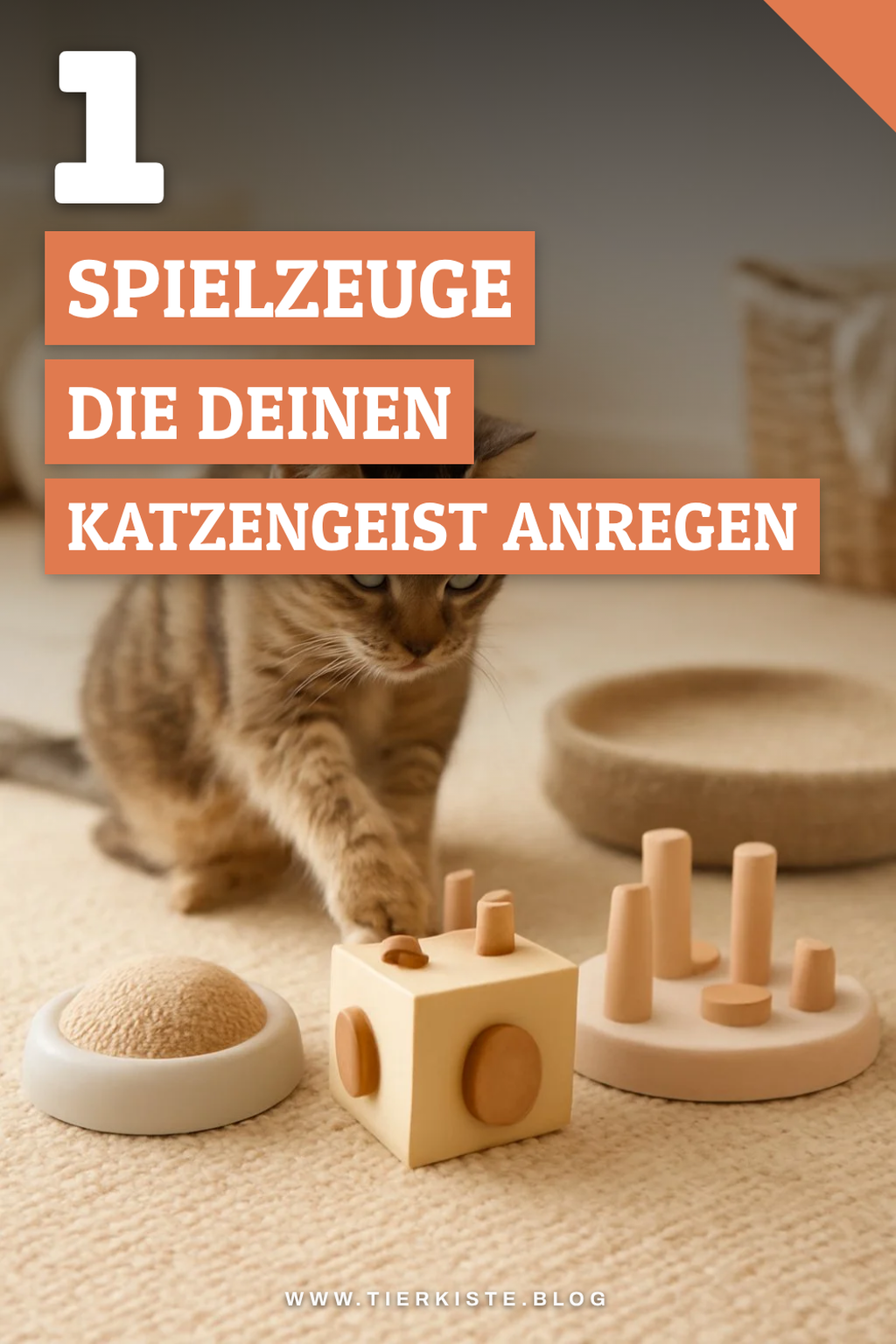 Mehr Empfehlungen aus dieser Kategorie