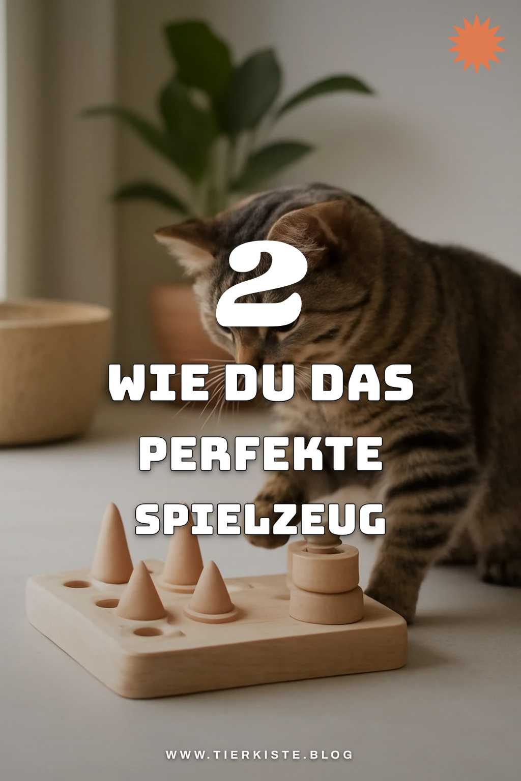So wählst du das richtige Intelligenzspielzeug für deine Katze