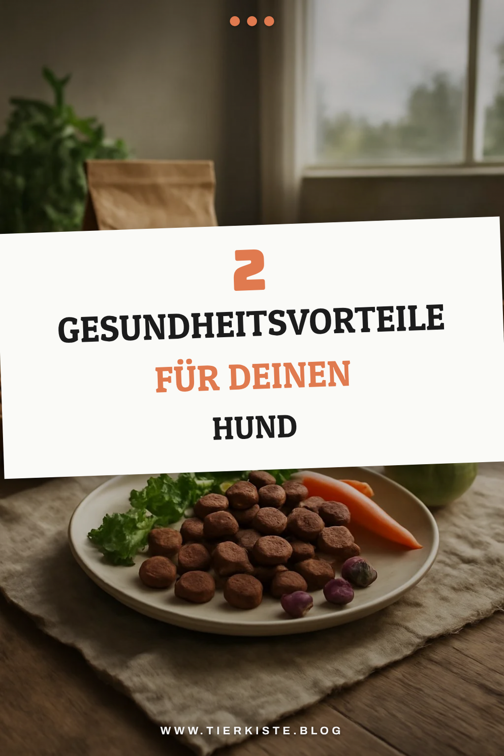 Wie kaltgepresstes Hundefutter die Gesundheit deines Hundes verbessert