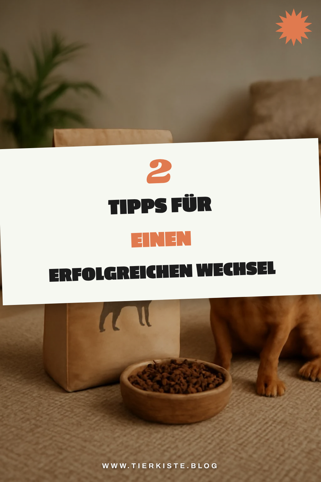 Tipps für die Umstellung auf kaltgepresstes Hundefutter