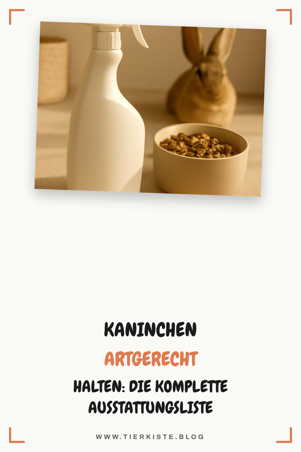 Kaninchen artgerecht halten: Die komplette Ausstattungsliste