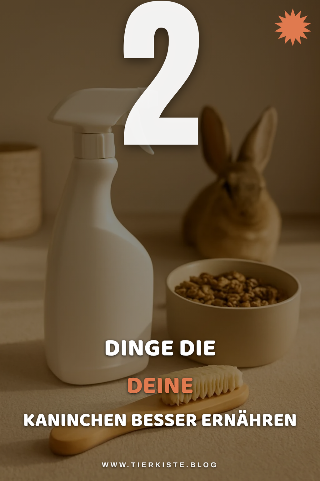 Welche Fütterung ist optimal für Kaninchen?