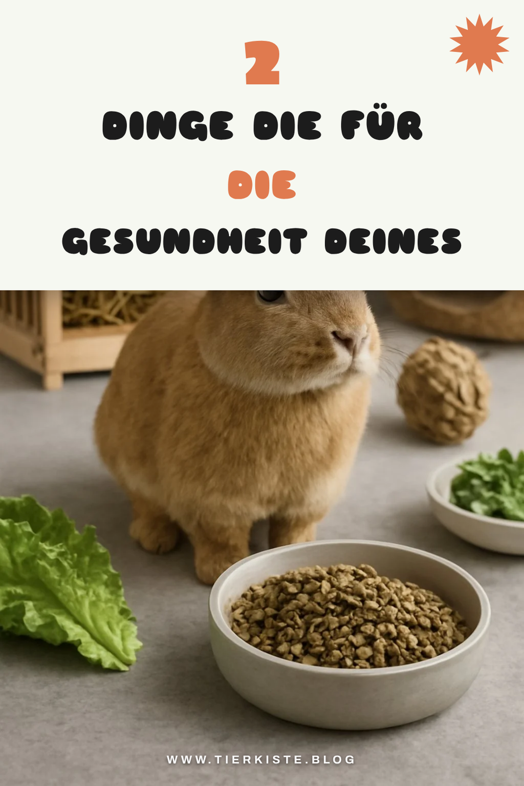 Gesundheitsvorsorge für dein Kaninchen