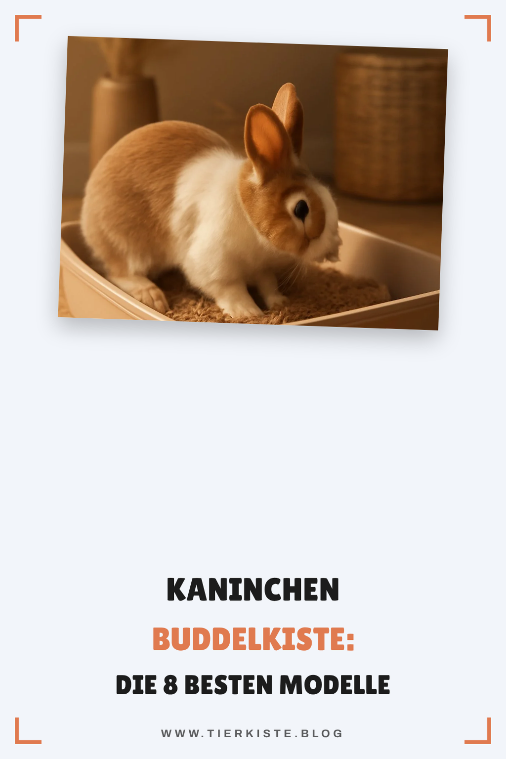 Kaninchen Buddelkiste: Die 8 besten Modelle 2026 im Überblick