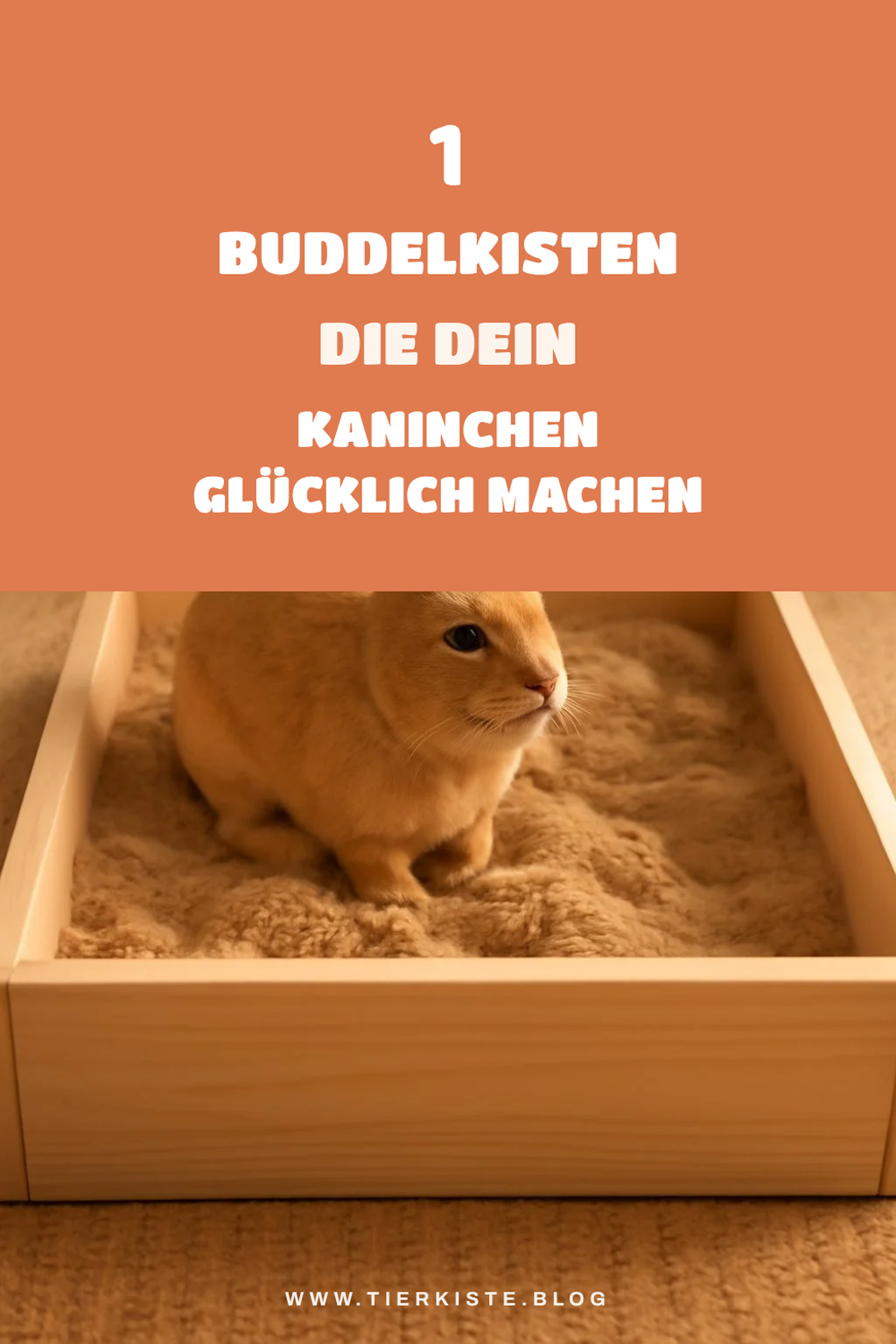 Die besten Kaninchen Buddelkisten für glückliche Nager