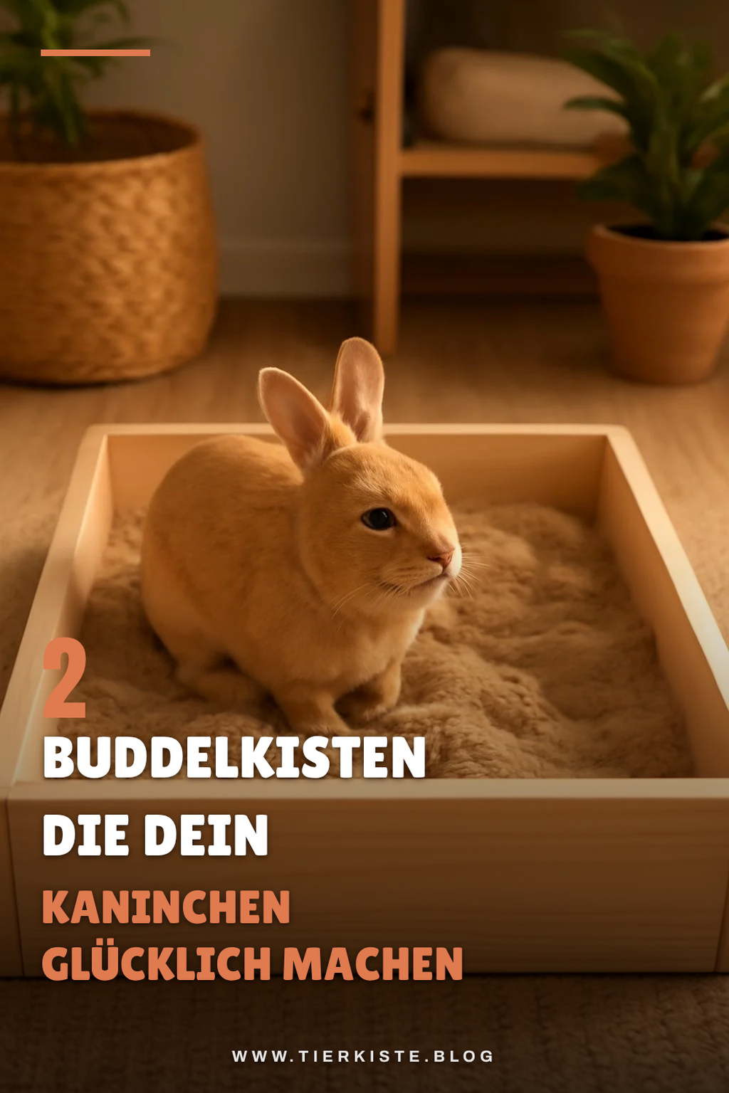 Diese 2 Picks lohnen sich extra