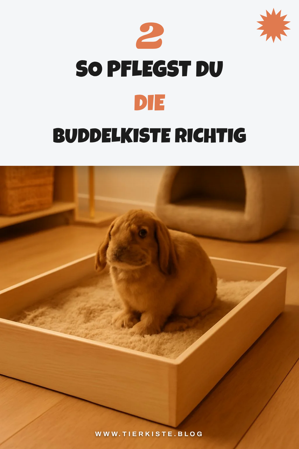 Pflege und Wartung von Buddelkisten