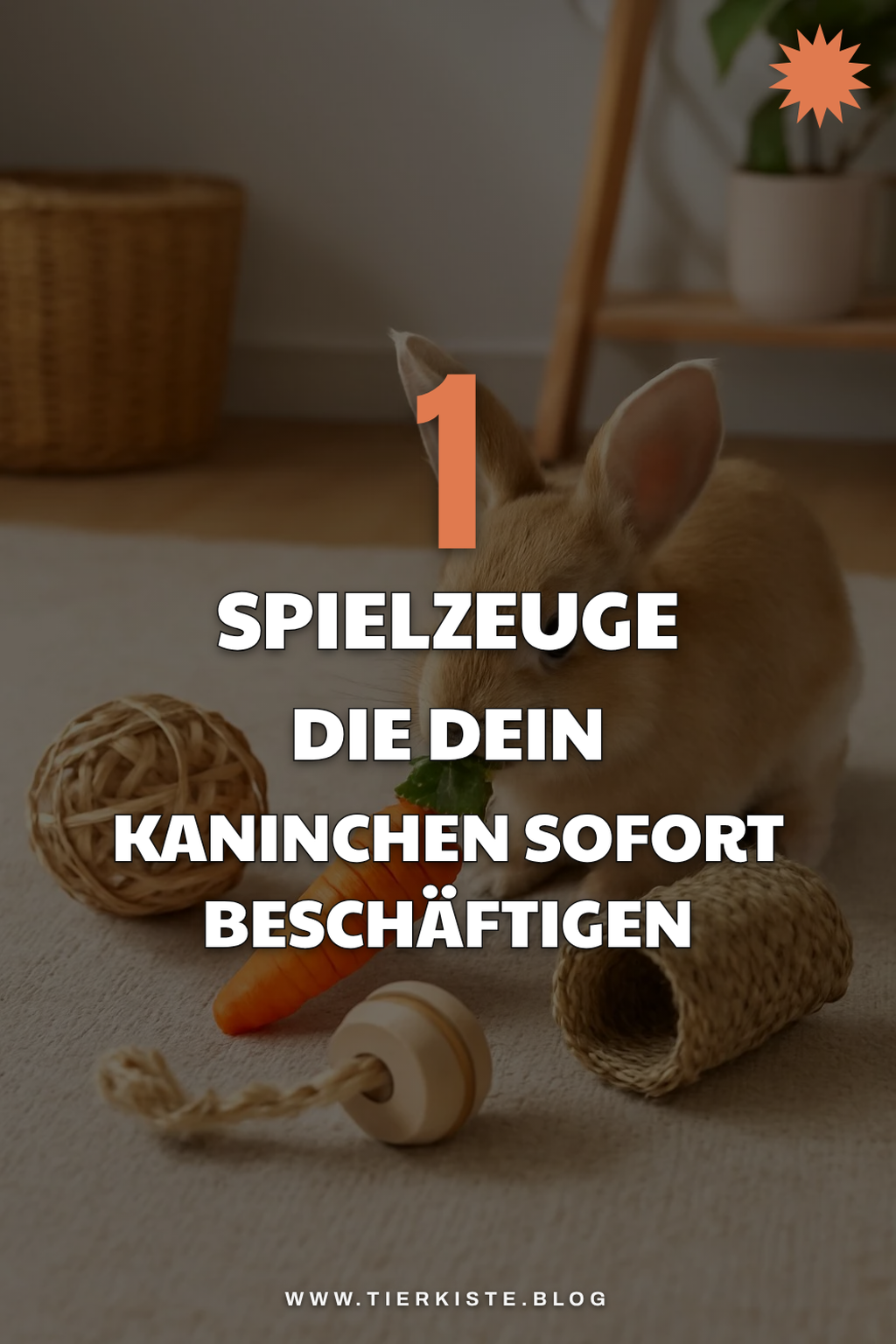 Diese 4 Spielzeuge machen dein Kaninchen aktiv und glücklich
