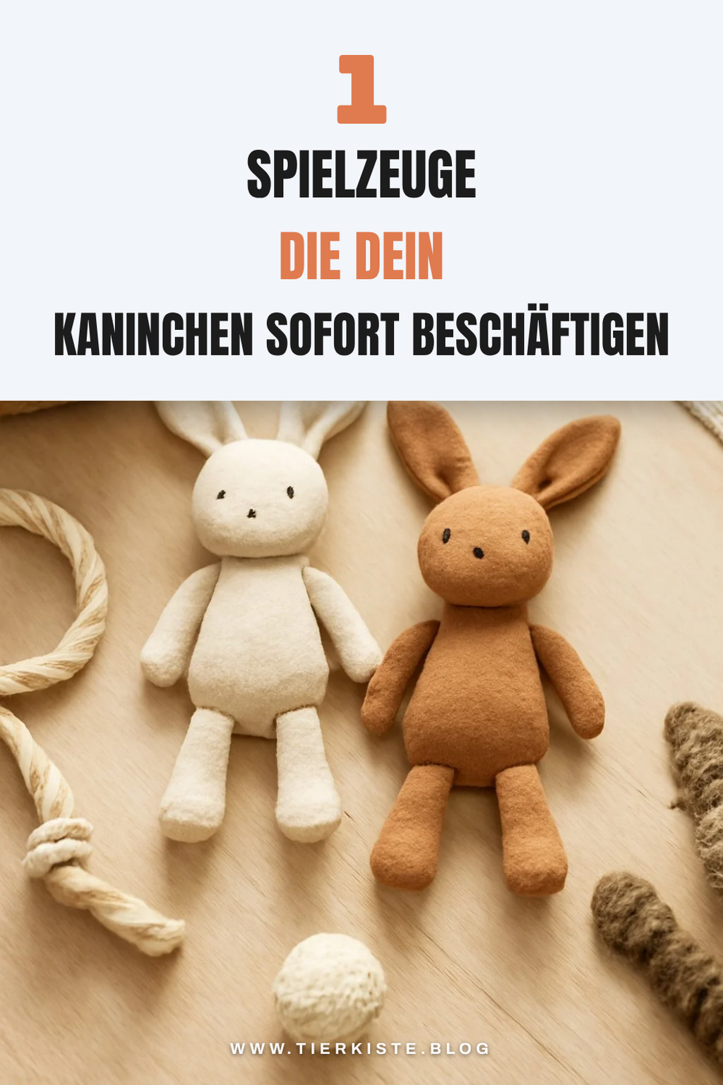 Mehr Empfehlungen aus dieser Kategorie