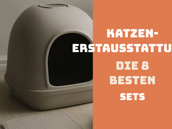 Katzen-Erstausstattung: Die 8 besten Sets im Vergleich