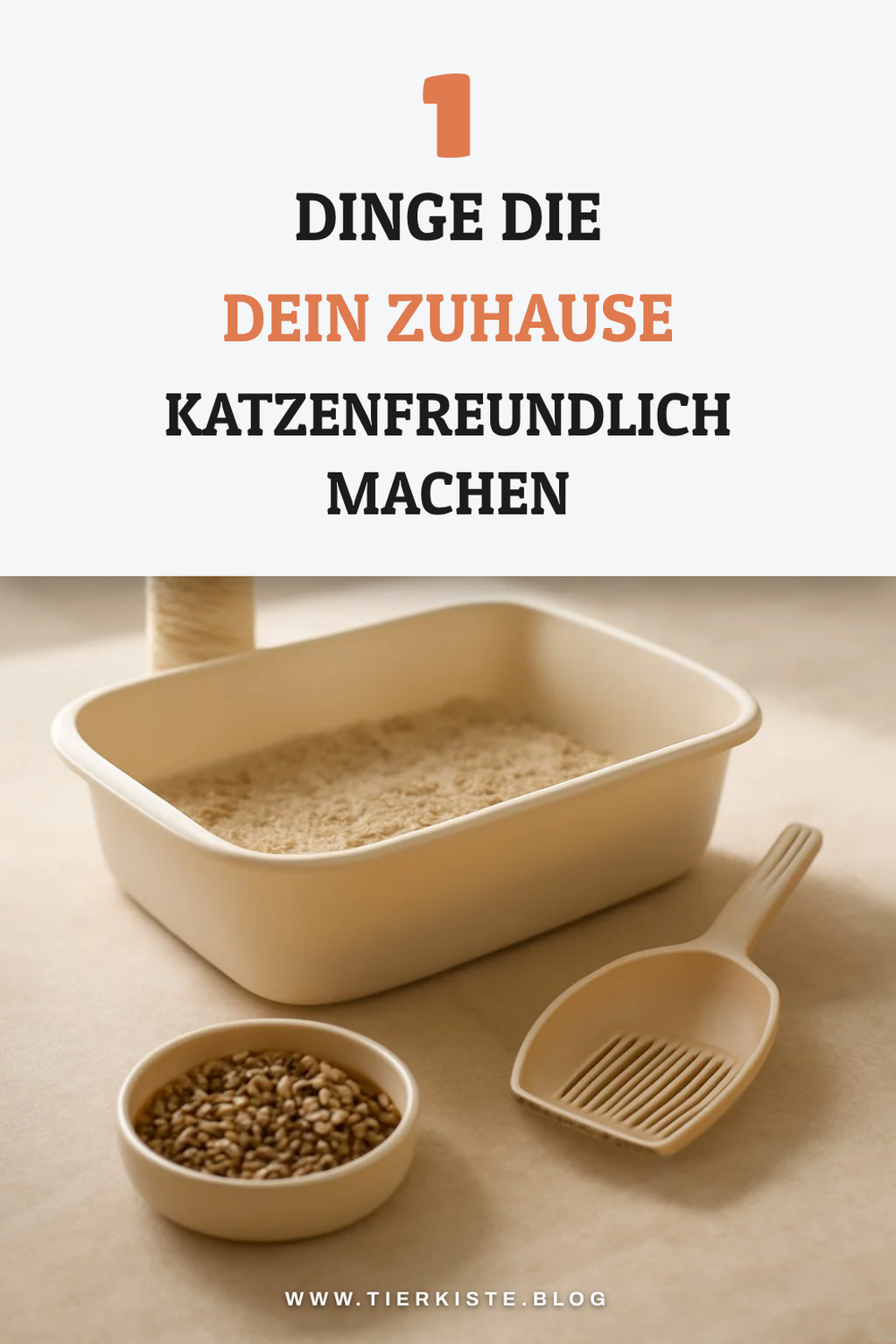 Die wichtigsten Utensilien für deine Katze