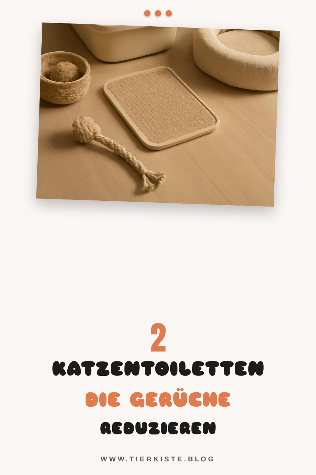 Katzentoilette für Sauberkeit