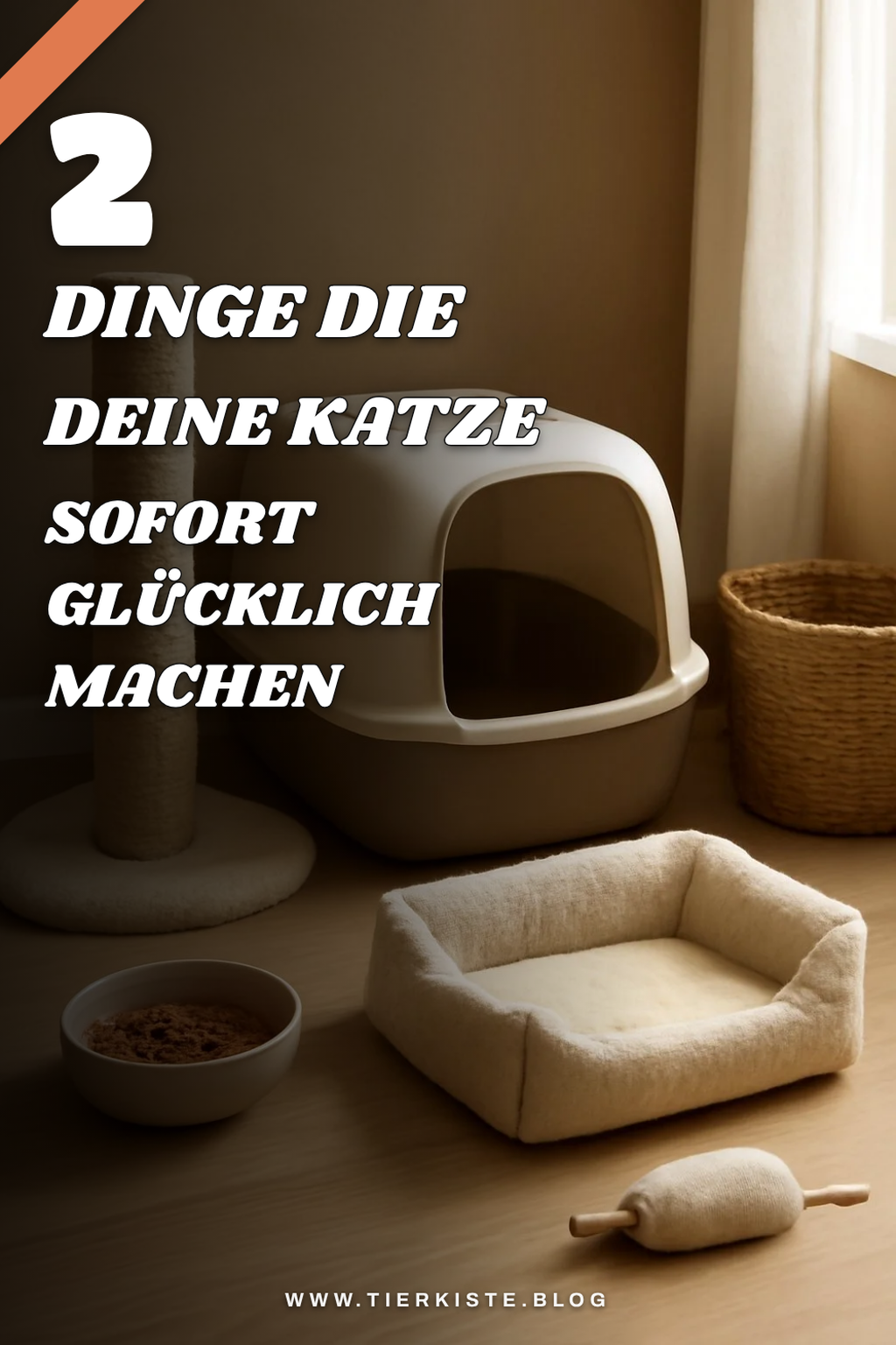 Die 5 wichtigsten Dinge für eine neue Katze