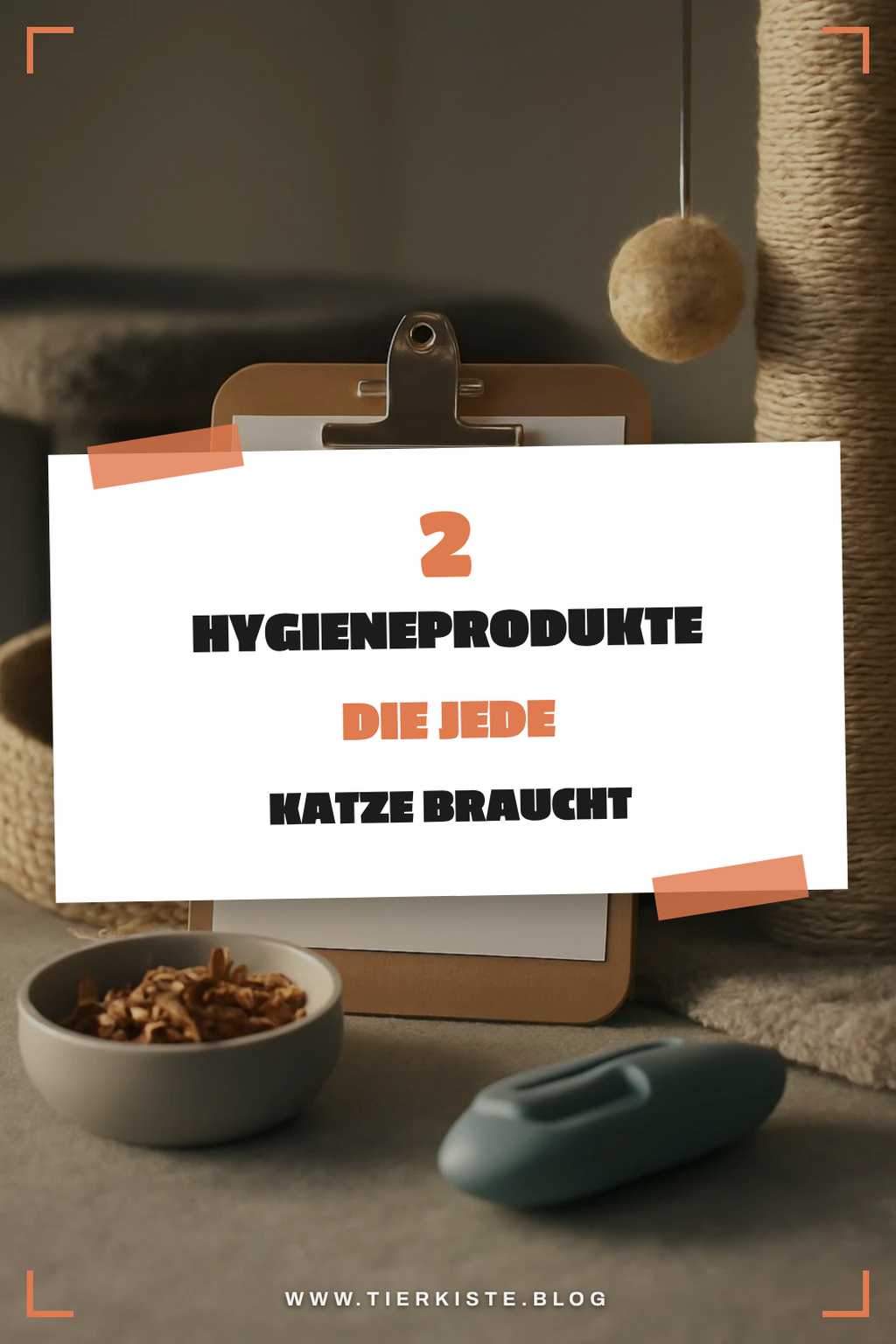 Die besten Hygieneprodukte für Katzen
