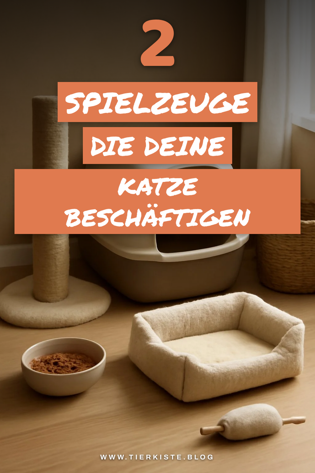 Wichtige Beschäftigung für deine Katze