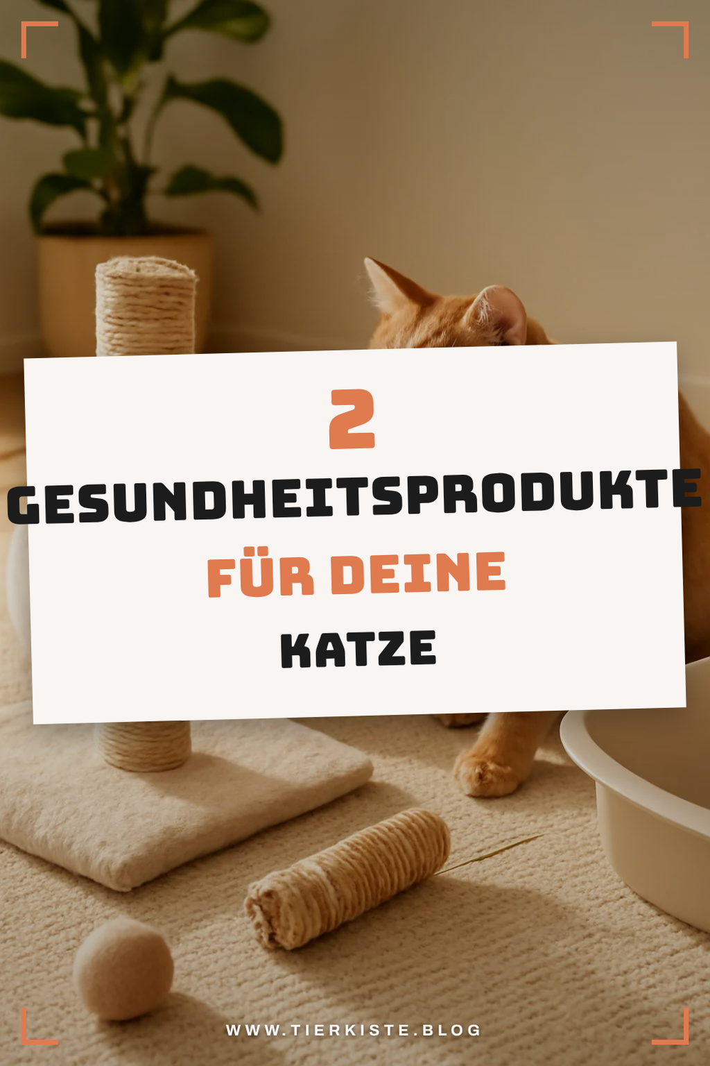 Wichtige Gesundheitsprodukte für Katzen