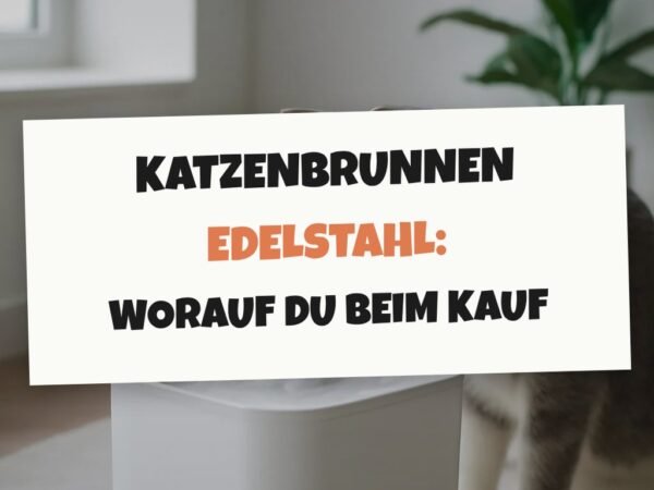 Katzenbrunnen Edelstahl: Worauf du beim Kauf achten musst