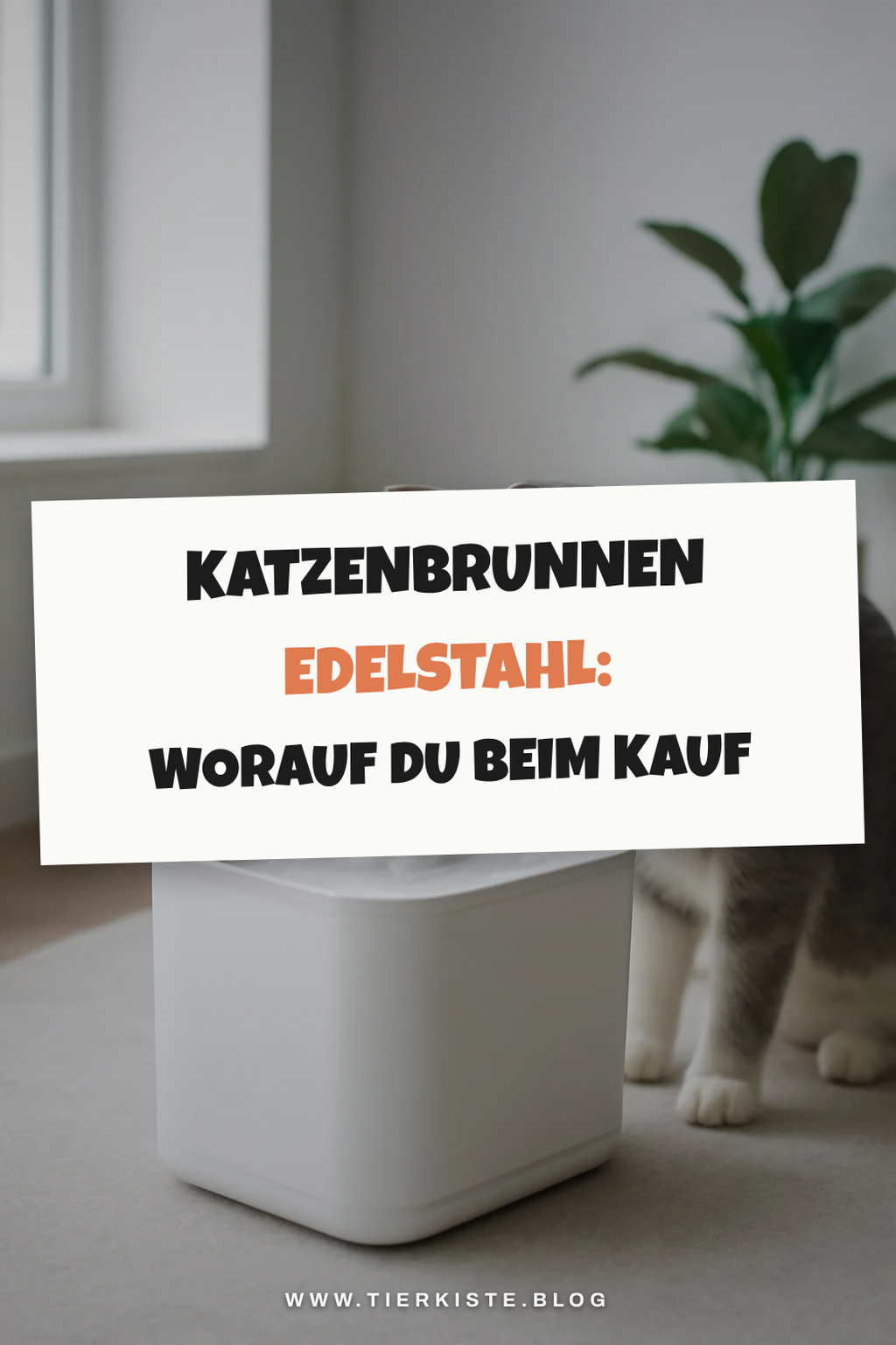 Katzenbrunnen Edelstahl: Worauf du beim Kauf achten musst