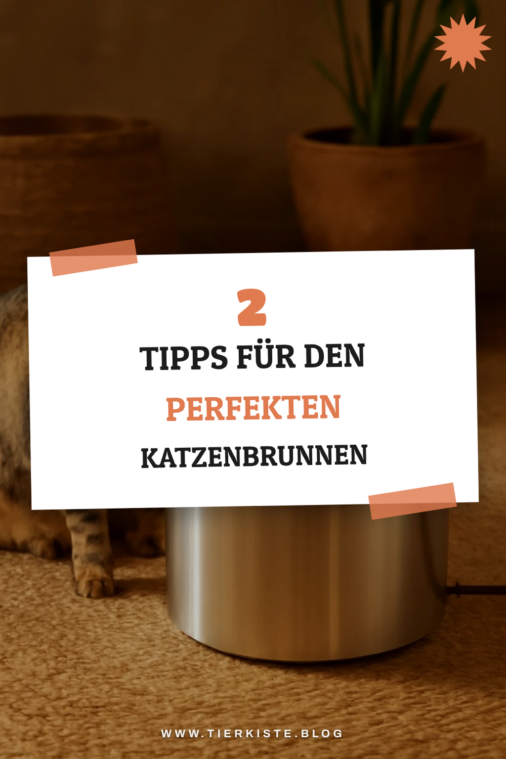 So findest du den idealen Katzenbrunnen aus Edelstahl
