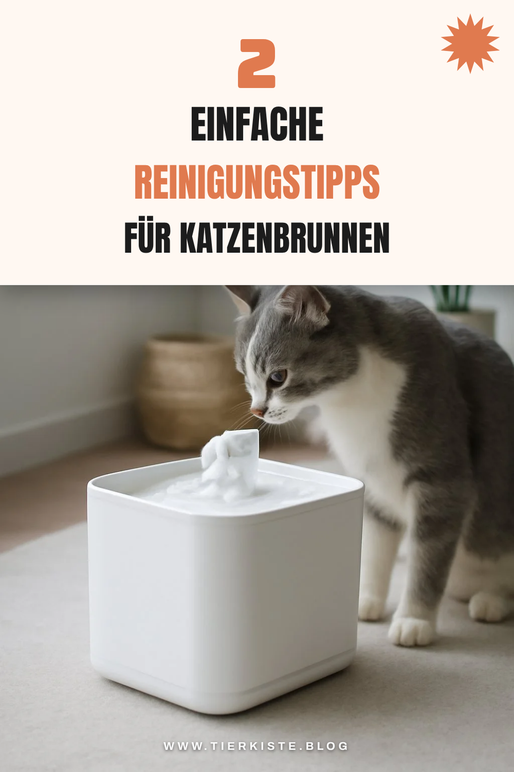 Pflege und Reinigung des Katzenbrunnens