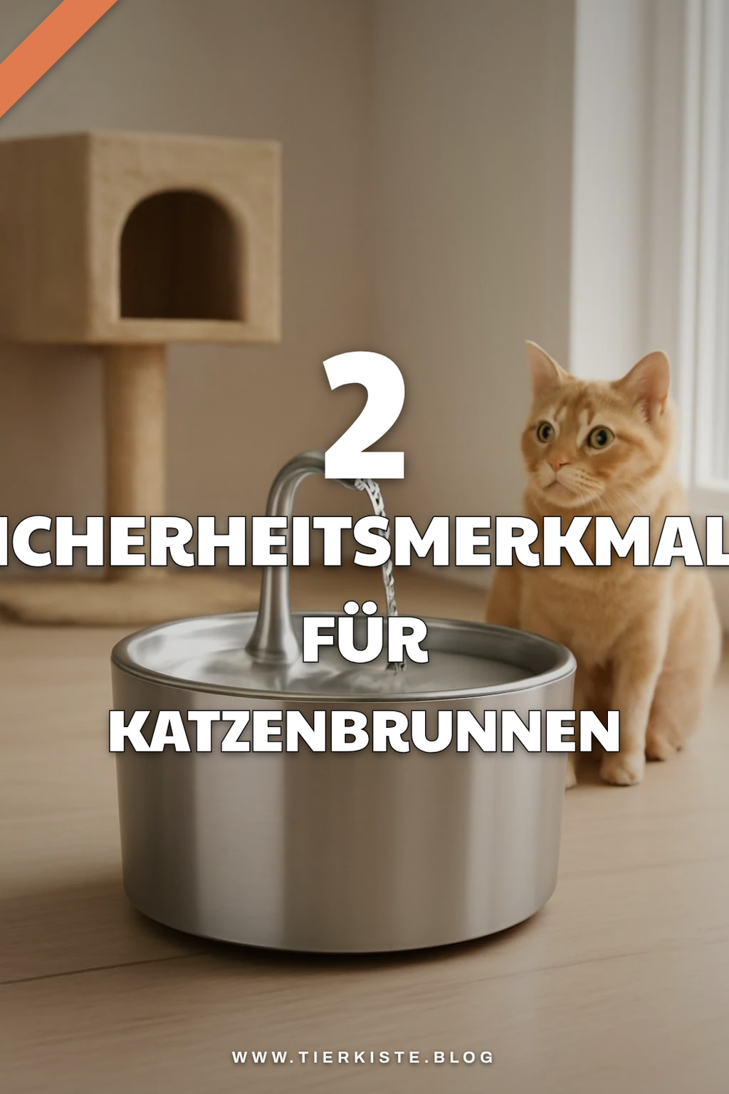 Sicherheitsmerkmale von Katzenbrunnen