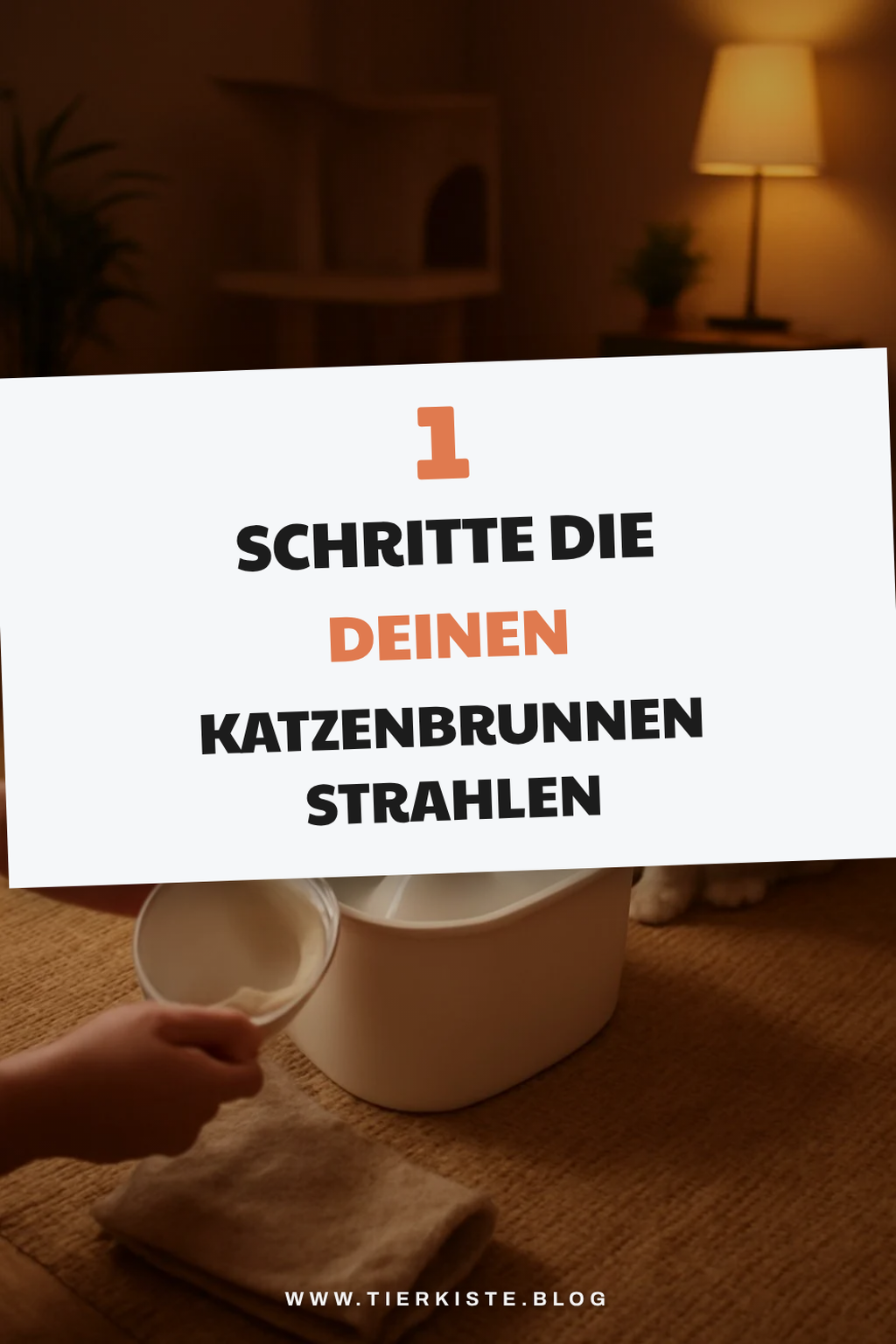 Wie du deinen Katzenbrunnen in 5 einfachen Schritten reinigst