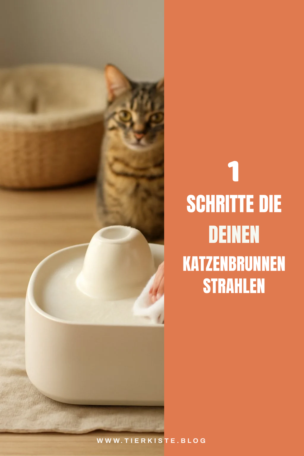 Mehr Empfehlungen aus dieser Kategorie