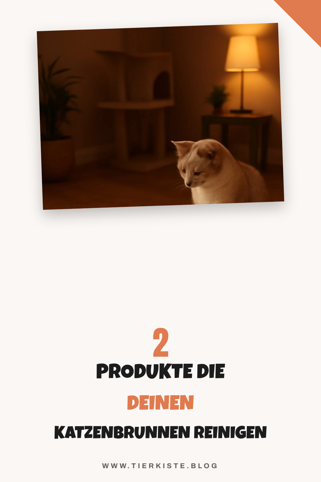 Diese 4 Reinigungsprodukte sind ein Muss für Katzenbrunnen