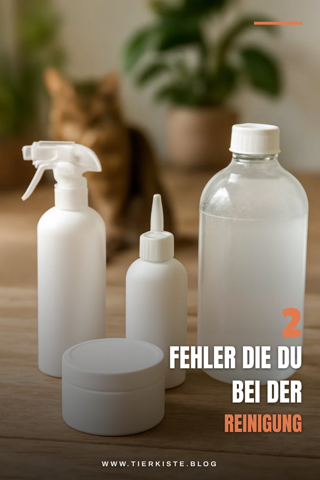 Häufige Fehler bei der Katzenbrunnen-Reinigung vermeiden