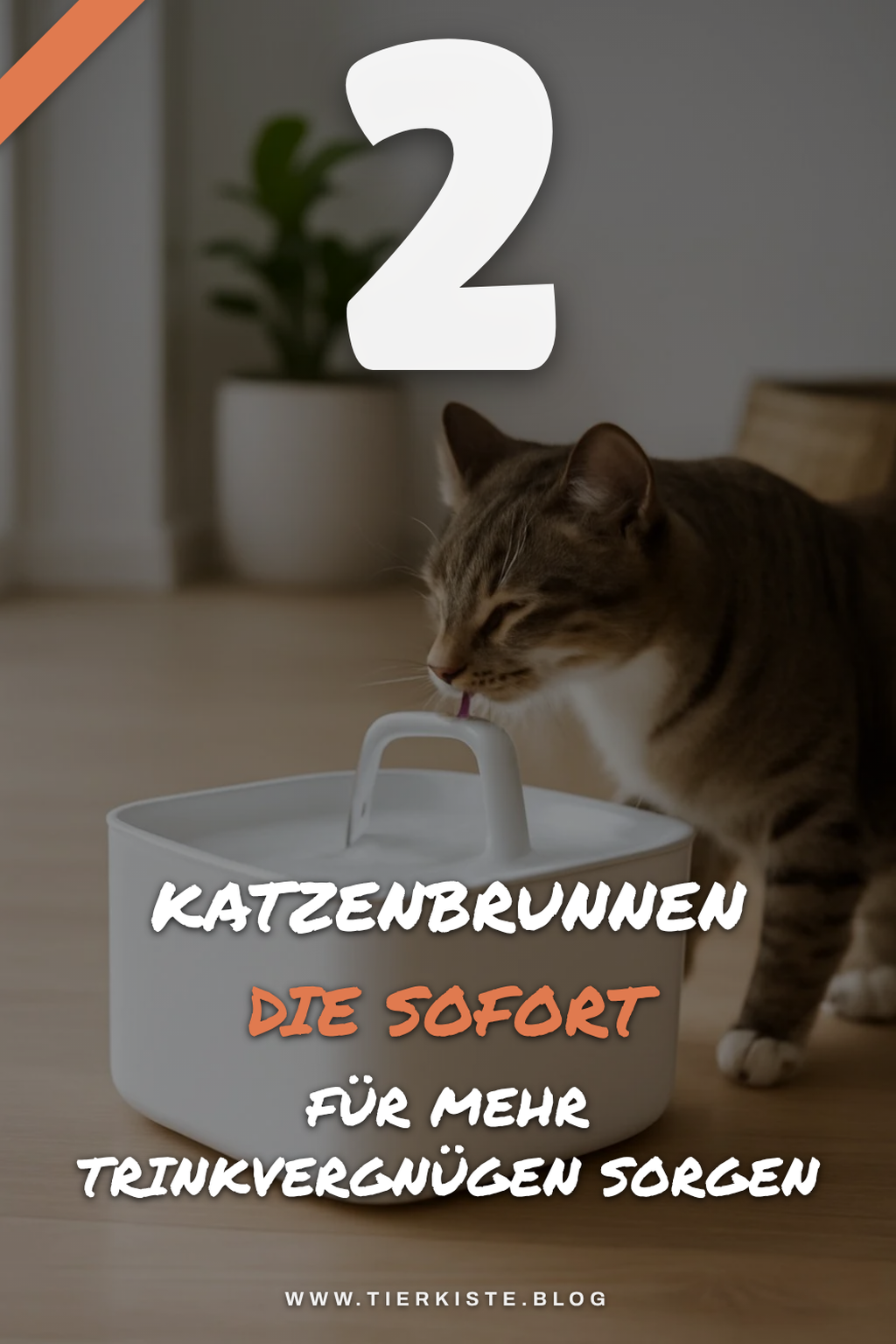 Diese 5 Katzenbrunnen verbessern die Trinkgewohnheiten deiner Katze