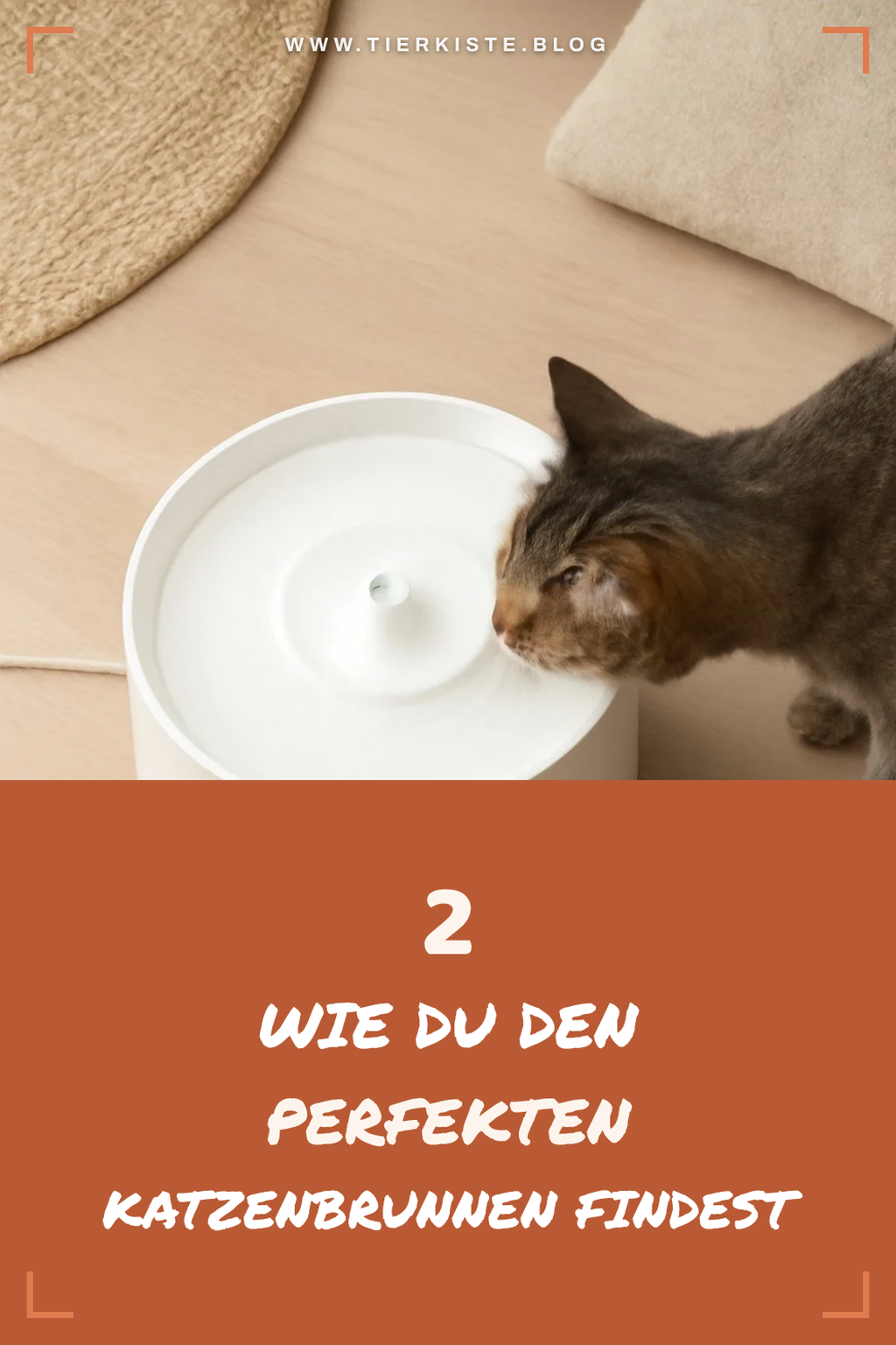 So wählst du den perfekten Katzenbrunnen aus