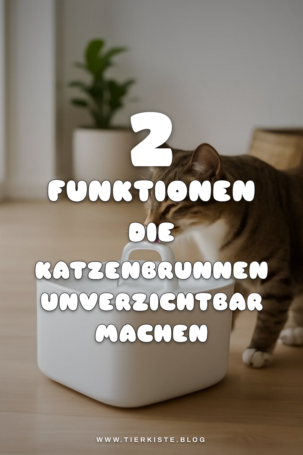 Diese 4 Funktionen machen Katzenbrunnen zum Must-Have
