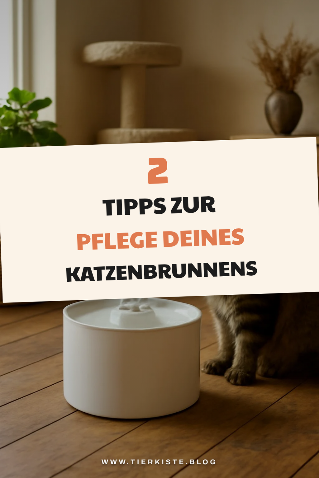 Die besten Tipps zur Pflege deines Katzenbrunnens