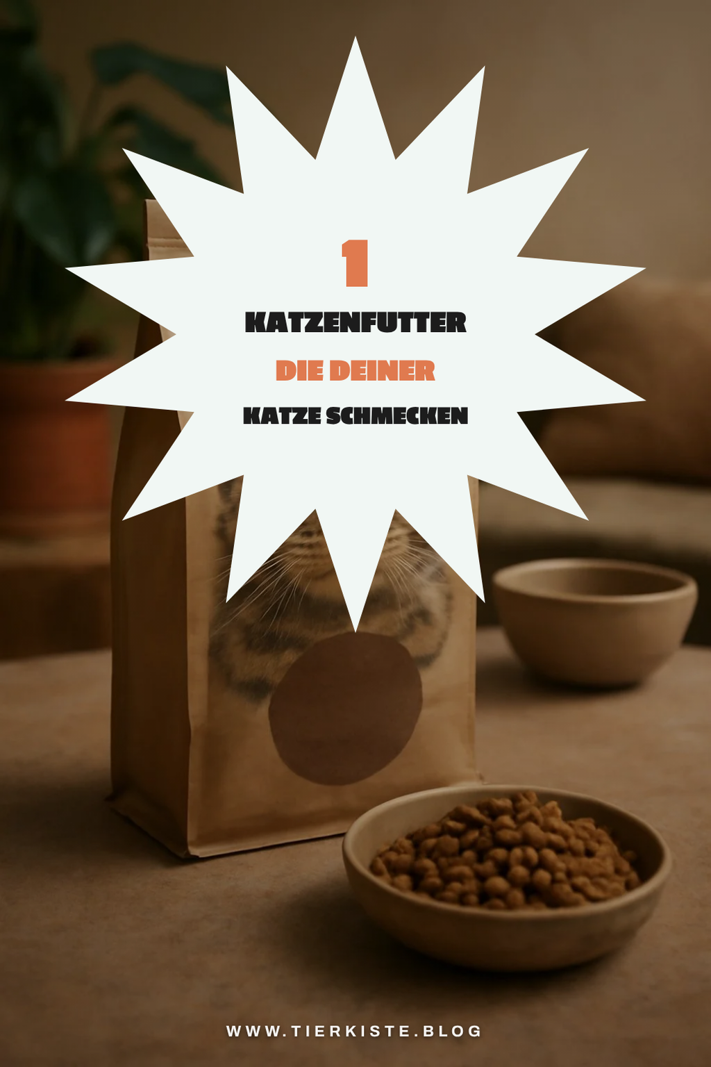 Welche Katzenfutter-Sorten sind die besten 2026?
