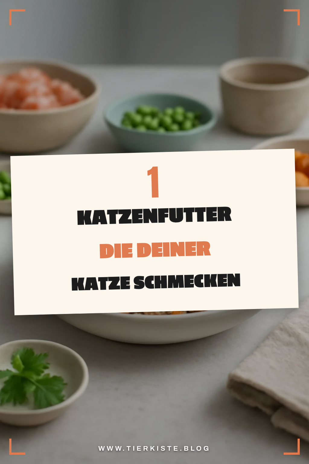 Mehr Empfehlungen aus dieser Kategorie