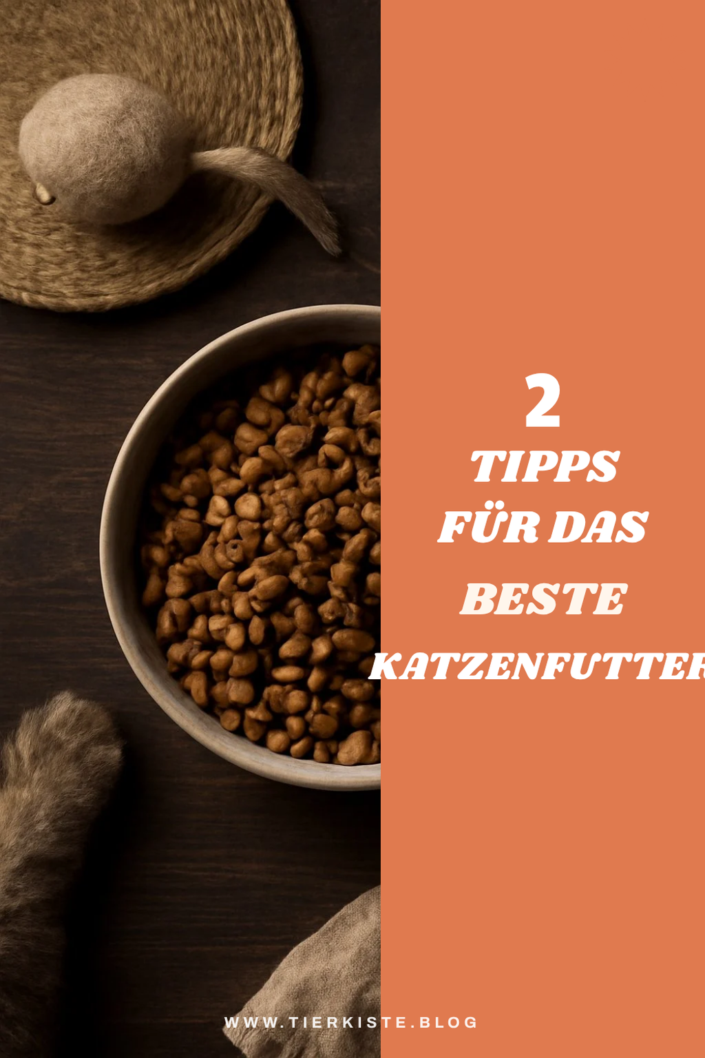 So findest du das beste Katzenfutter für deine Katze