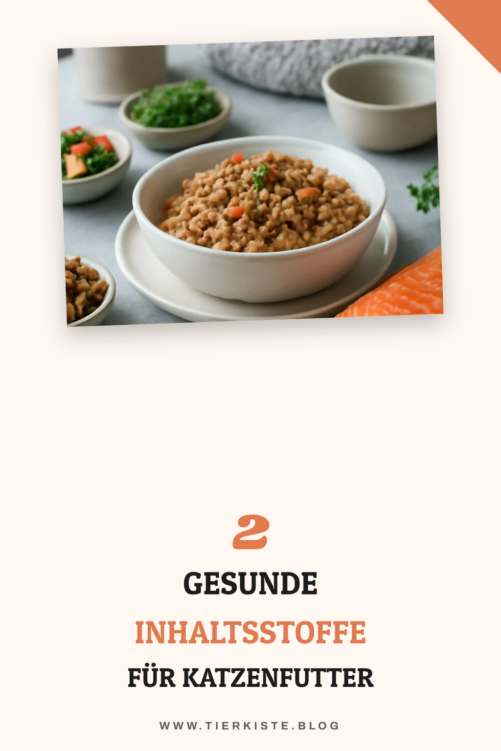 Diese Inhaltsstoffe machen Katzenfutter gesund