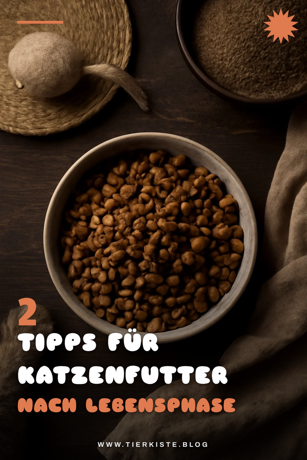 Katzenfutter nach Lebensphase auswählen